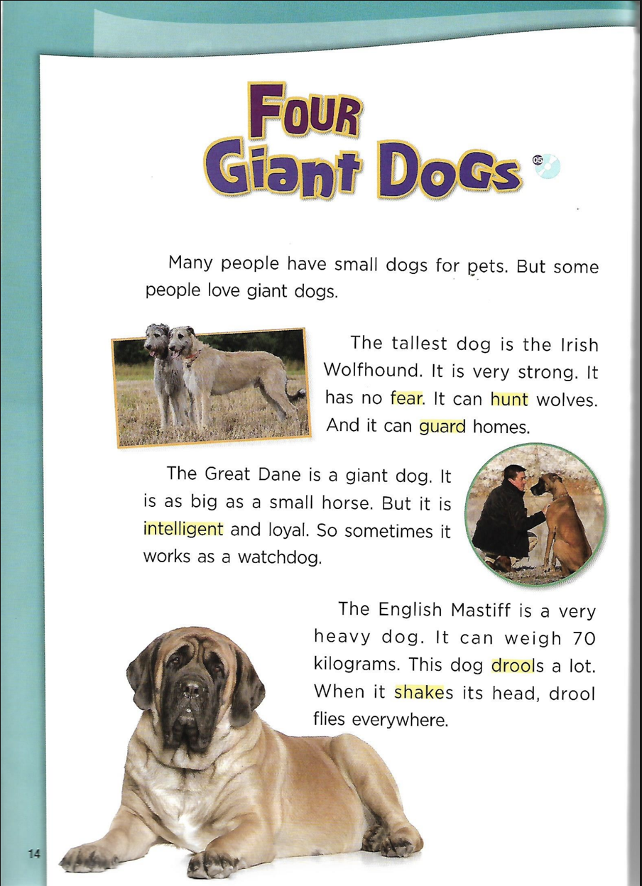 Bricks Reading 150 Level 2 Ebook [FREE] Download PDF