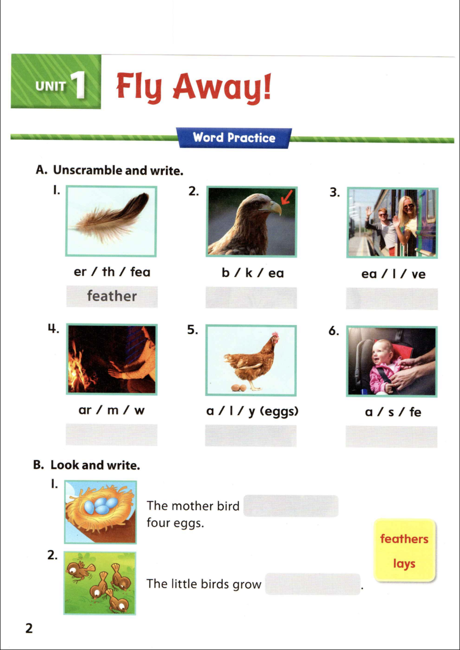 [FREE] WonderSkills Reading Basic 2 Workbook Ebook Download PDF