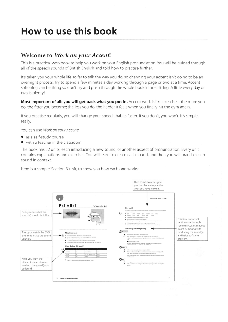 Work On Your Accent Ebook [FREE] Download PDF